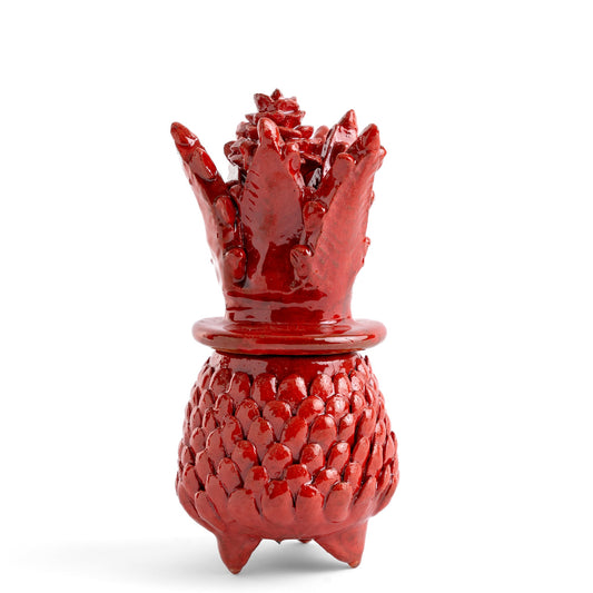 Radiance Agave Pineapple - Design A