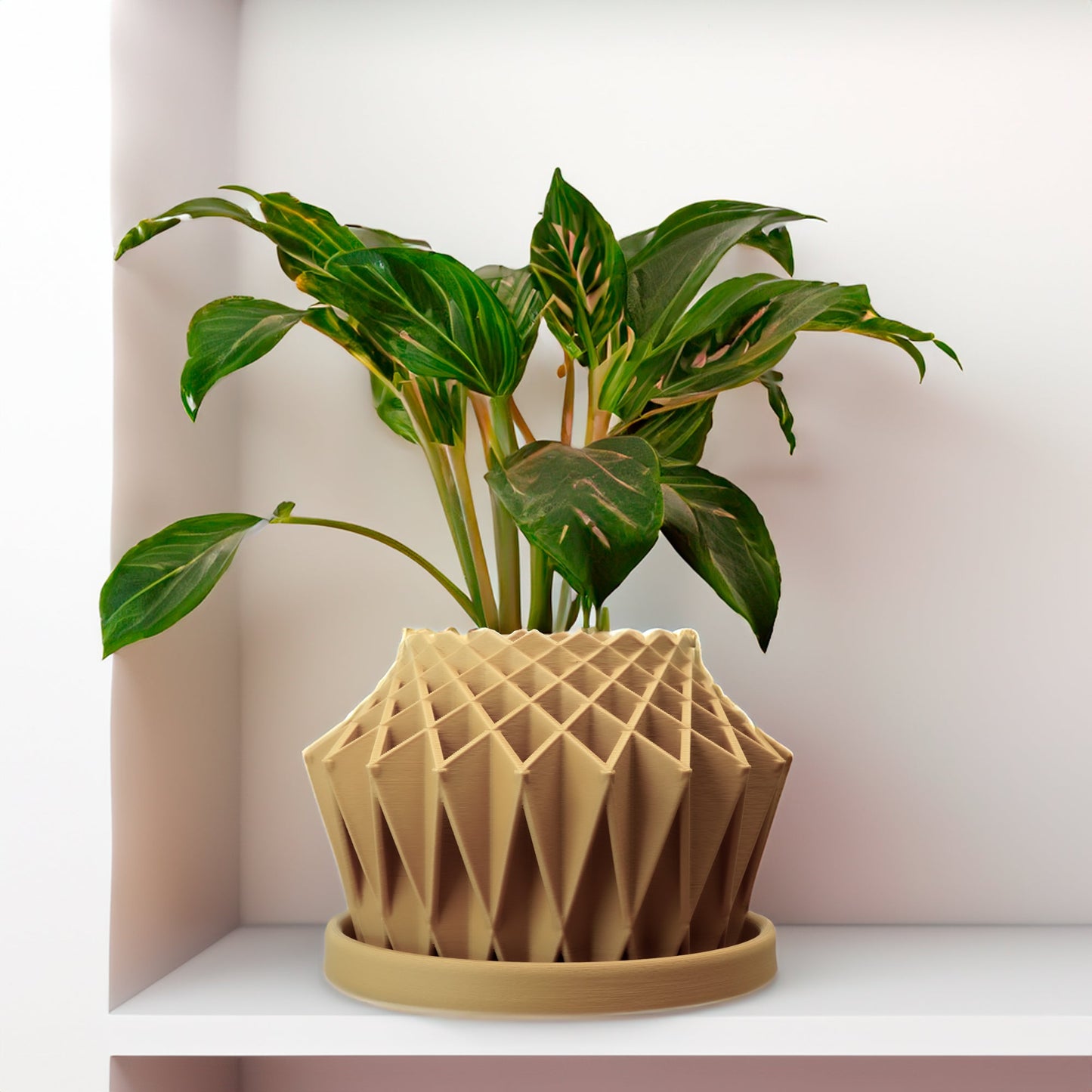 Galaxy Groove Plant Pot