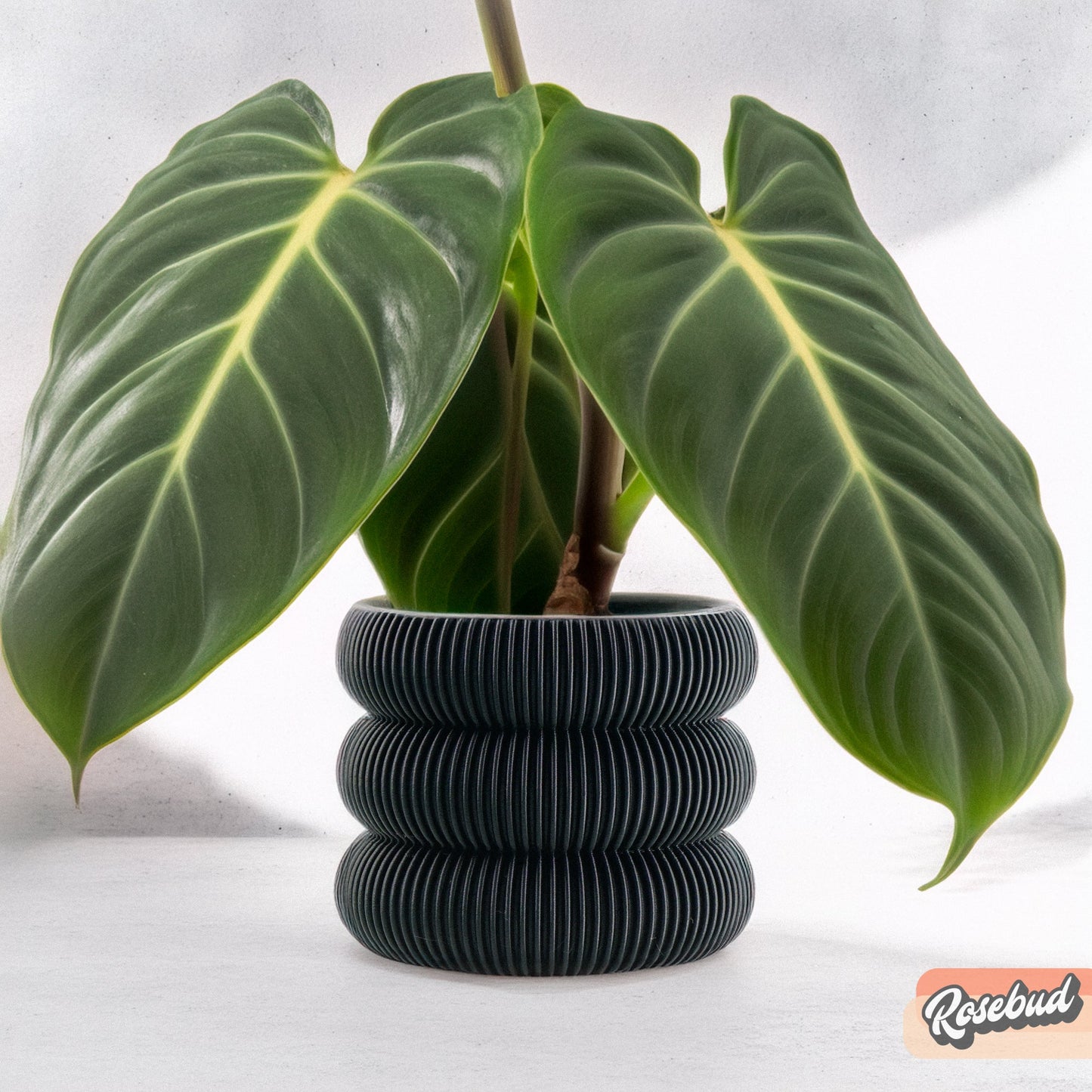 Ribbed Bubble Plant Pot With Drainage and Saucer